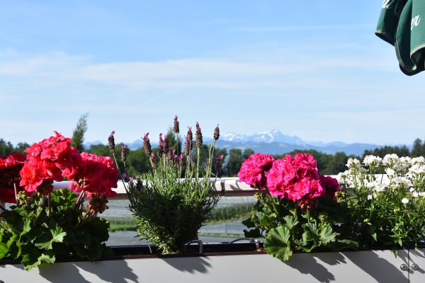 Gasthof zum Forst (Kressbronn am Bodensee)